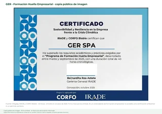 Vista de la copia pública del certificado de formación Huella Empresarial